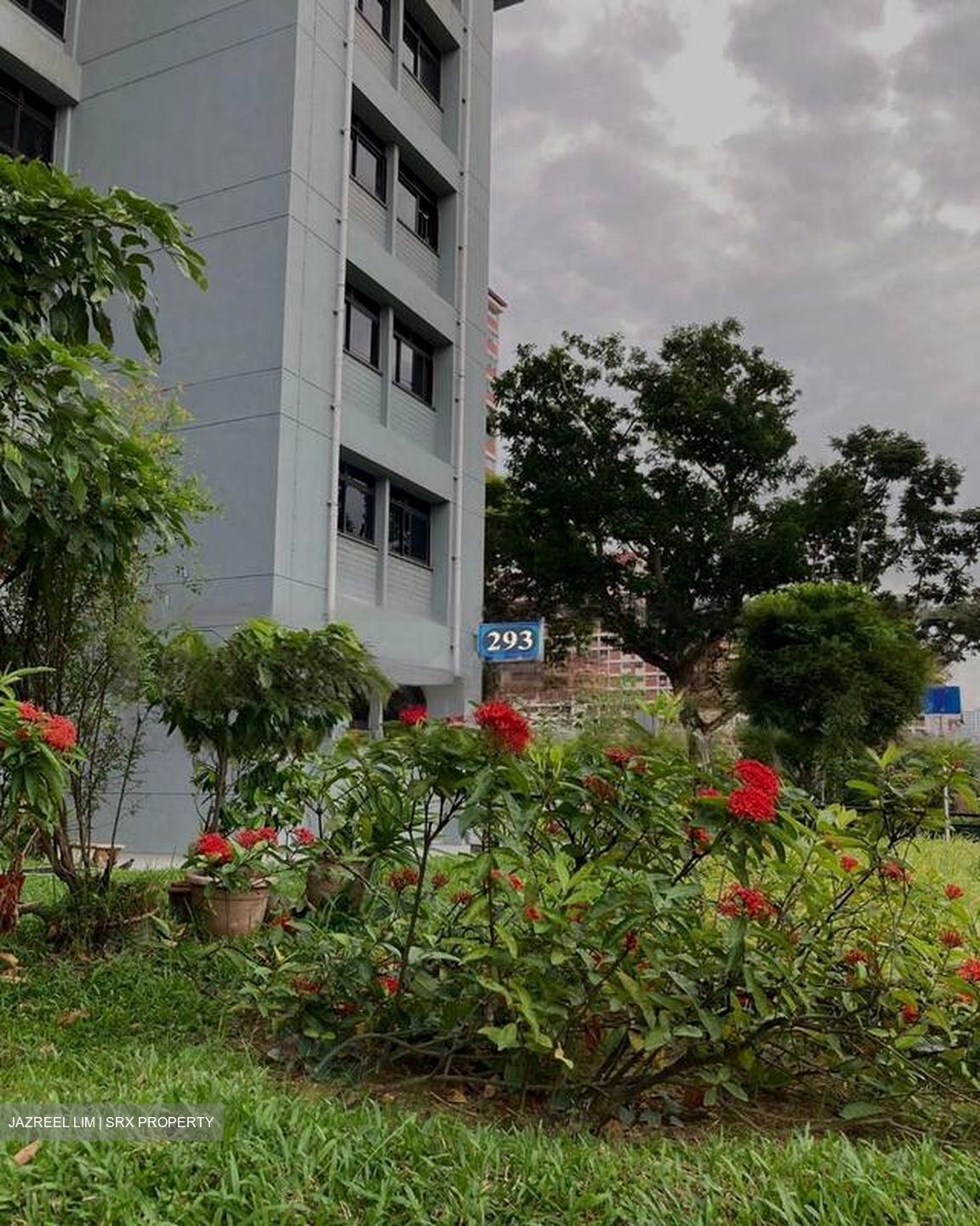 Blk 293 Bishan Street 22 (Bishan), HDB 5 Rooms #555775351